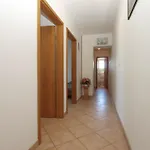 Marija 841 * 普拉